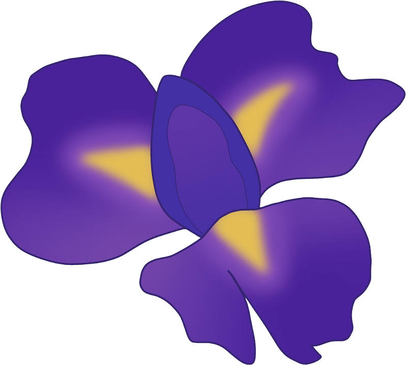 菖蒲の花